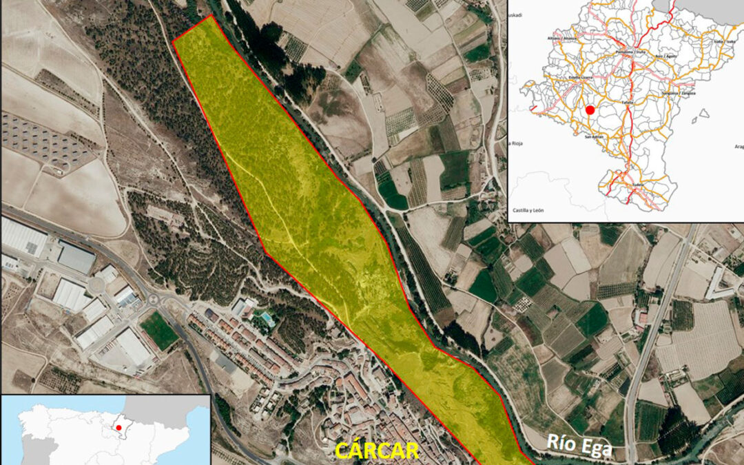 Estudio de alternativas inestabilidad en la ladera derecha del río Ega en Cárcar (Navarra).(1516)