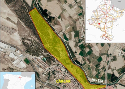 Estudio de alternativas inestabilidad en la ladera derecha del río Ega en Cárcar (Navarra).(1516)