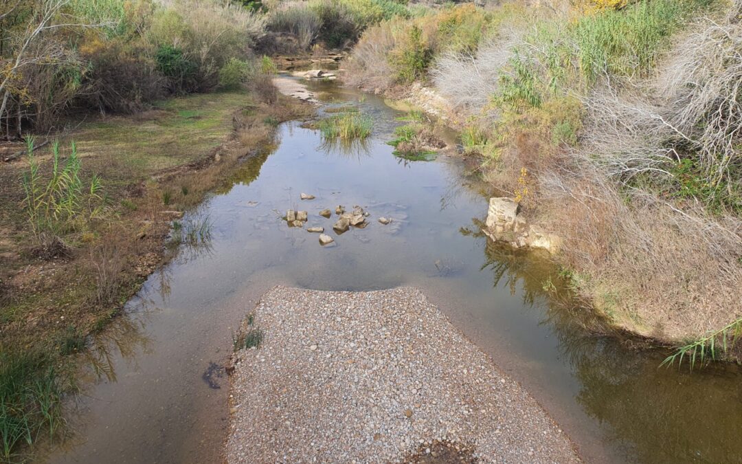 Proyecto de restauración ambiental y conexión hidráulica del antiguo cauce del río Guadalope en Caspe (Zaragoza) (1467)