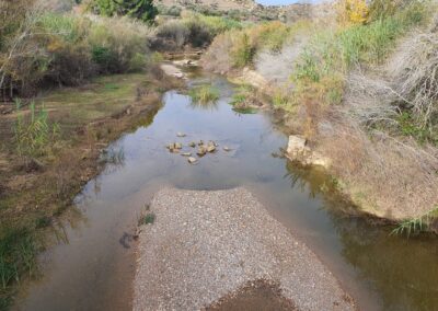 Proyecto de restauración ambiental y conexión hidráulica del antiguo cauce del río Guadalope en Caspe (Zaragoza) (1467)