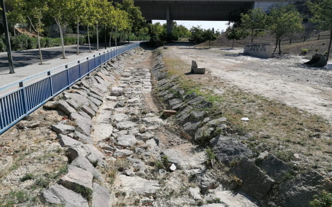 Contratación de emergencia por Ayto. Zaragoza para estudios y actuaciones en el barranco de la muerte. (1484)