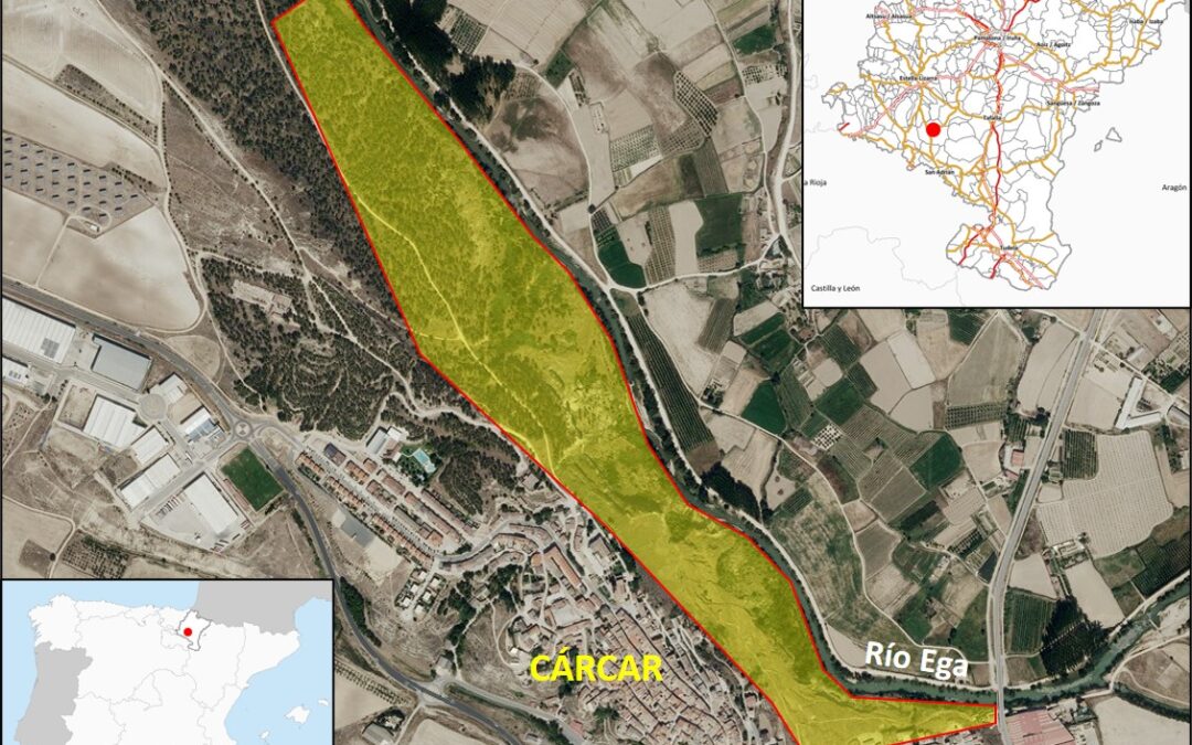 Estudio de alternativas inestabilidad en la ladera derecha del río Ega en Cárcar (Navarra).(1516)