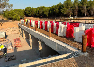 Dirección facultativa y control de obra del proyecto constructivo «Canal perimetral de alivio del barranco de la Muerte en Zaragoza». Expte. nº 63.156/2024. (1525)
